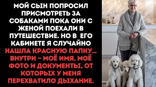видео: Мой сын попросил присмотреть за собаками пока они с женой поехали в путешествие. Но в его картинка: Мой сын попросил присмотреть за собаками пока они с женой поехали в путешествие. Но в его