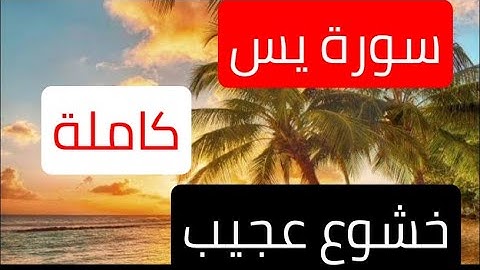 سورة يس كاملة بصوت خاشع تدمع له العيون للقارئ الشيخ سعدون حمادي