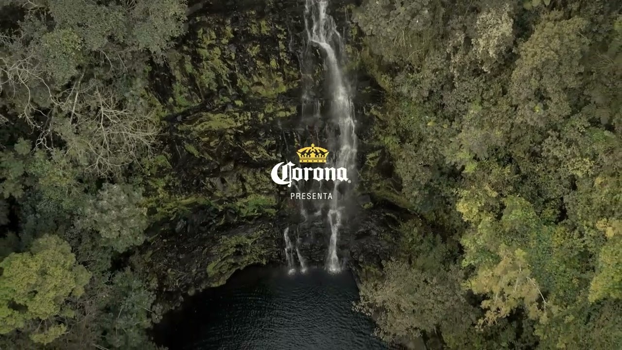 Corona TRB