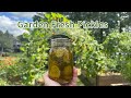 How to Make &amp; Can Pickles - Super Easy Recipe! :)
