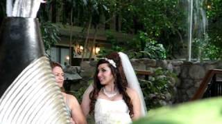 casamento da Monique e Humberto 099.avi