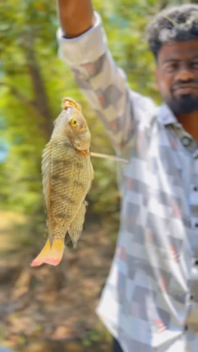 🐠😱  செம வேட்டை 🔥  | Summer fishing | balasvoyage