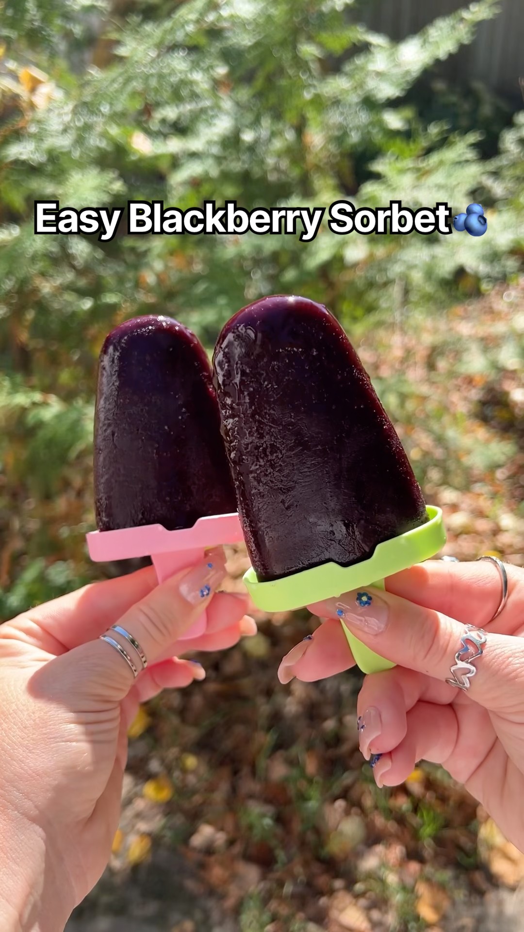 Easy Blackberry Sorbet for hot days 🫐🍧 #diy #sorbet #yummy