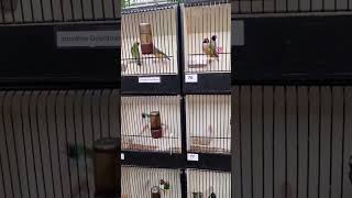 Botanical Garden Brno.