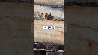 경기도 양평계곡 서종 수입리 벽계천 장어 숯불구이 맛집 서종장어집 벽계마당 #서종ic맛집 #가평아난티 #서종장어 #프리스틴밸리cc장어맛집 #양평장어 #양평맛집
