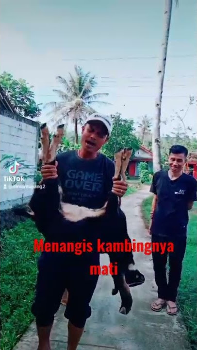 Cintaku cuma satu//sayangku cuma kamu