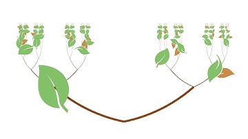 The Cantor set is a countable product of discrete spaces