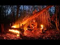 Survival Shelter Build / Overnighter with Long Log Fire / -4º Winter camp