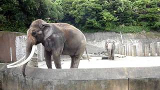 金沢動物園