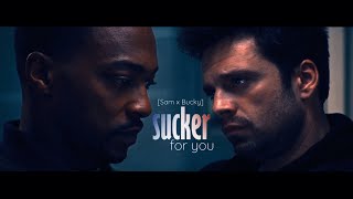 Bucky x Sam || Winter Soldier / Falcon || Sucker (For You)