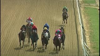 pimlico 5 19 17 race7