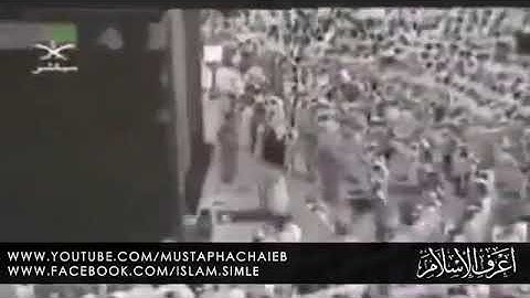 تلاوة مؤثرة جدا وبكاء الشيخ صلاح البدير إمام الحرم النبوي الشريف حفظه الله