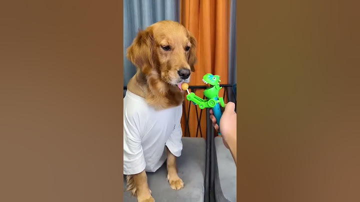 Dog: Just because I'm good-natured doesn't mean I won't bite! funny dog videos