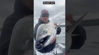 Memorial Day | Chinook Salmon @ South Puget Sound x Point Wilson Dart | MA13