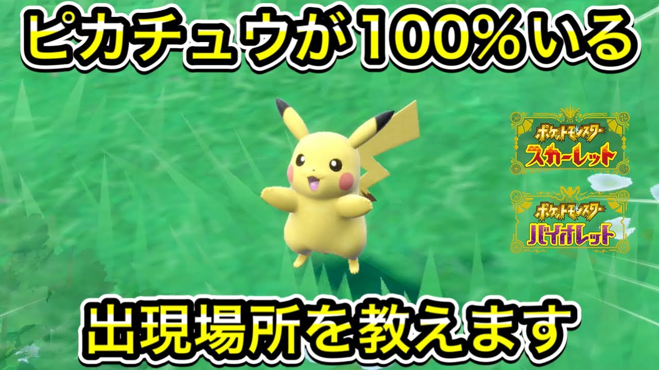 ポケットモンスター スカーレット バイオレット ピカチュウ Amazon.co.jp: ポケモン スカーレット & バイオレット