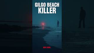 Long Island Serial Killer — The Gilgo Beach Mystery Explained #shorts #truecrime #crime