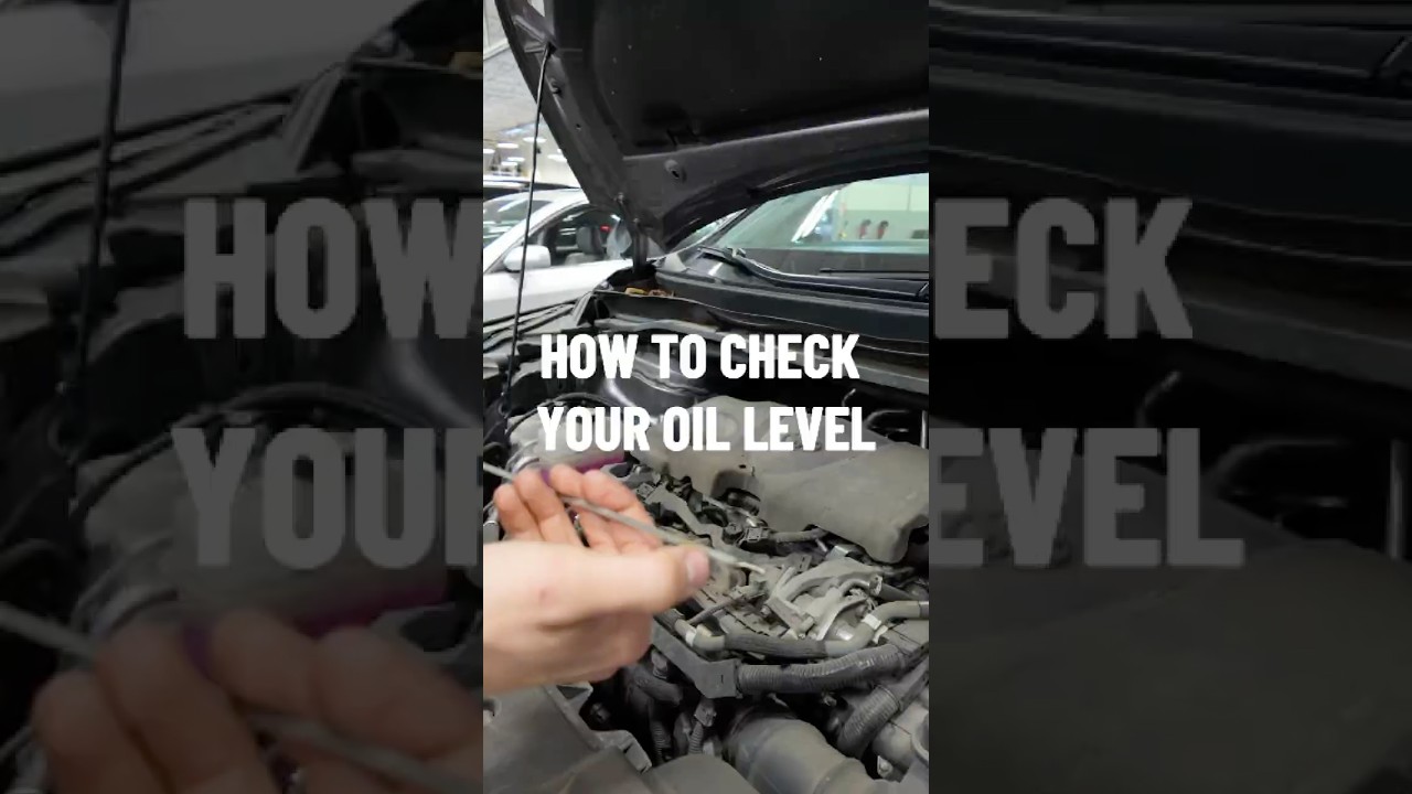 How to Check Oil Level in Car: Essential Guide