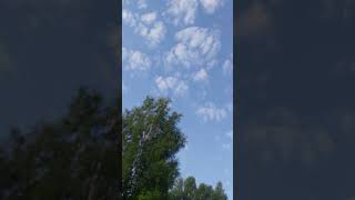 мудрость жизни