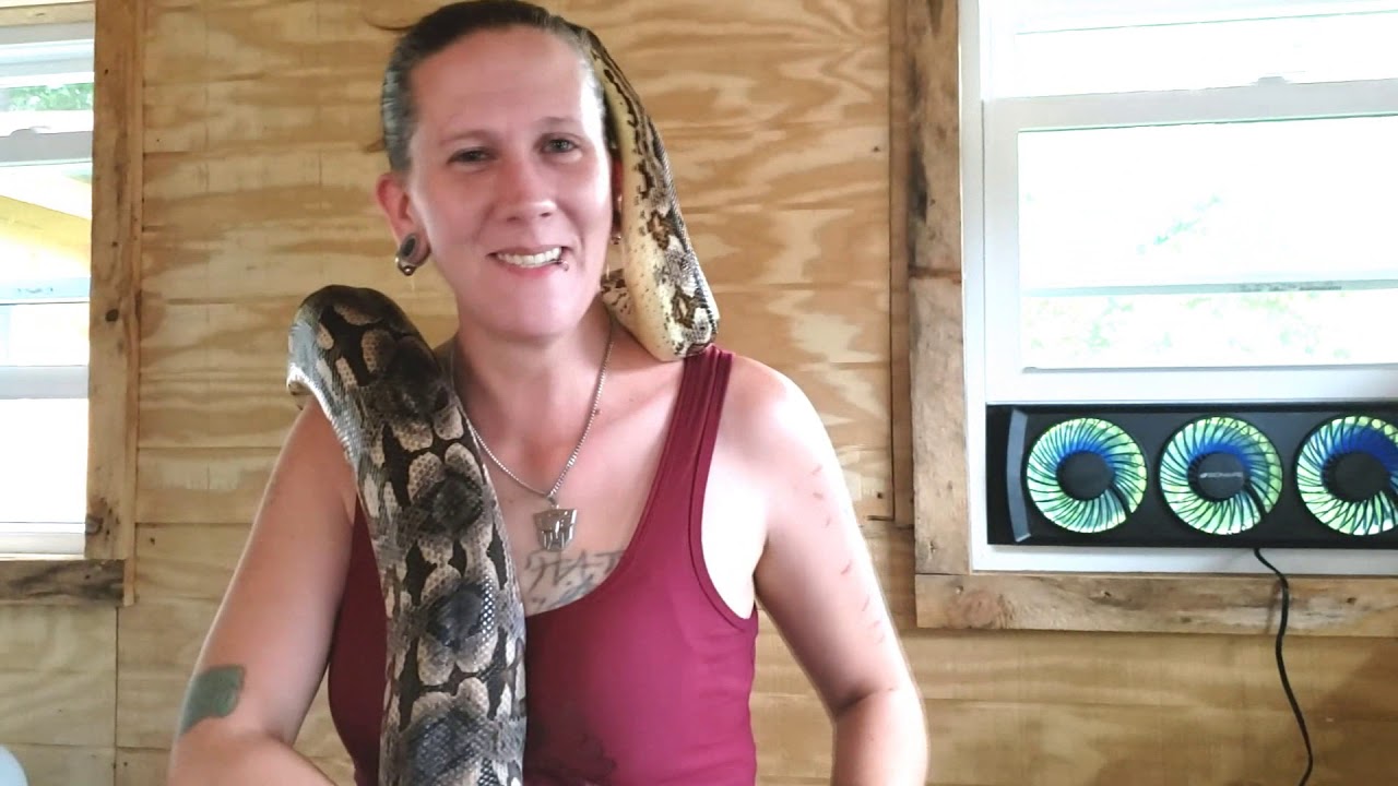 argentine boa habitat Moving My Big Snakes Into Their New Snake Room