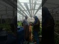 Studi Analisis Rantai Nilai dan Nilai Tambah Produk Agribisnis, Pemasaran Produk Agribisnis