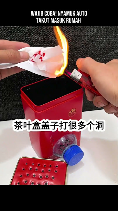 wajib dicoba! Nyamuk Auto Takut Masuk Rumah #faktamenarik#shorts