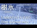 日本の冬の絶景 山形蔵王の樹氷 一生に一度は見たい絶景