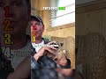Top 5 Dogs Fails