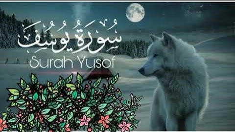 القارئ محمد بن علي من صلاه التراويح الليلة ٢١