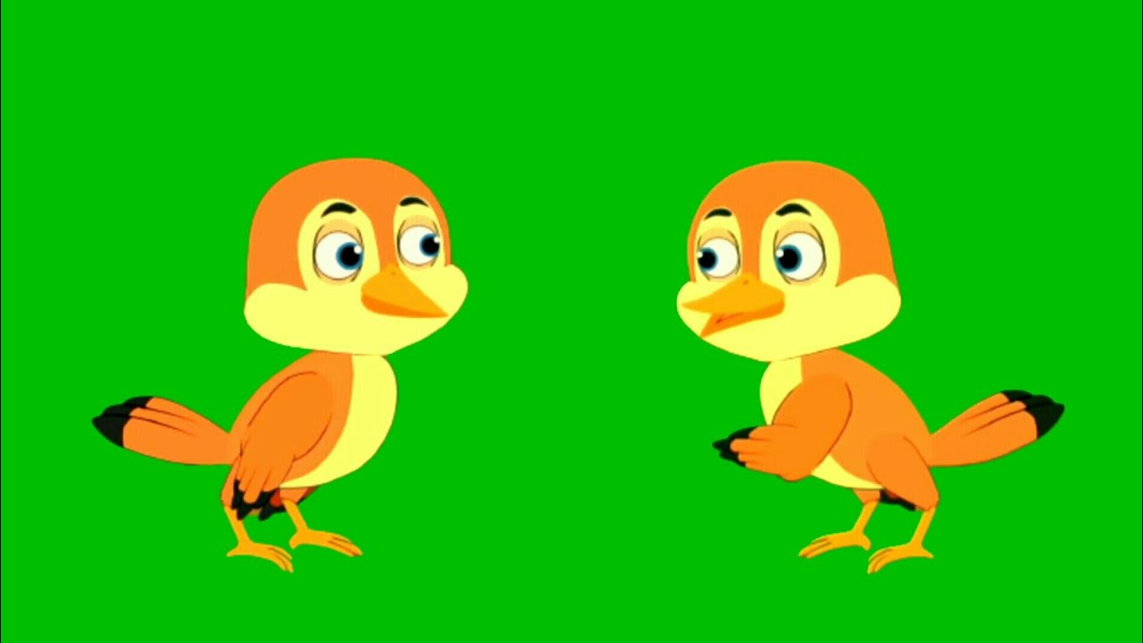 Free No Copyright/Tuni Chidiya Green Screen Cartoon Bird/Talking Bird