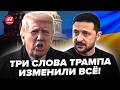⚡️Неожиданное РЕШЕНИЕ по войне ПОРАЗИЛО ВЕСЬ МИР! Трамп НЕ ЖДАЛ такого от Зеленского: новый СЦЕНАРИЙ