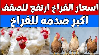 اسعار الفراخ البيضاء اليوم سعر الفراخ البيضاء اليوم الاثنين 13-5-2024 في المحلات في مصر