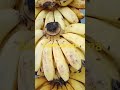 sweet banana
