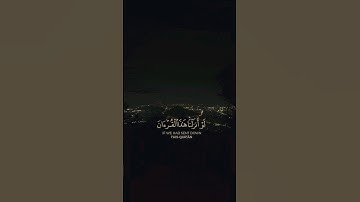 قرآن ماهرالمعيقلي سورة الحشر #القارئ_ماهر_المعيقلي #سورة_الحشر 🌸 #اية #youtube#تلاوات_خاشعة