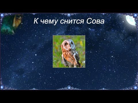 К чему снится Сова (Сонник)