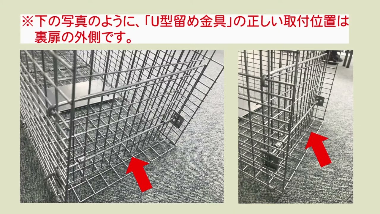 アライグマ｜箱罠の組み立てから設置まで【アニマルトラップ Model1089