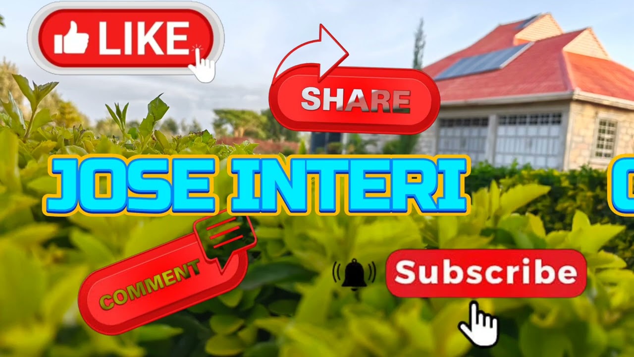 TALA, FROM BOARDS TO BEAUTY✨