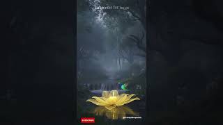 Forest Bathing  Relaxing Music for Deep Nature Connection 2025