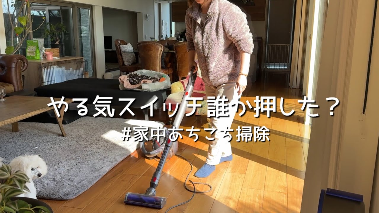 【50代主婦】天気が良すぎて朝から止まらない掃除三昧の日