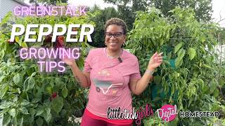 GreenStalk Pepper Growing Tips | How I Grow & Support Healthy GreenStalk Pepper Plants