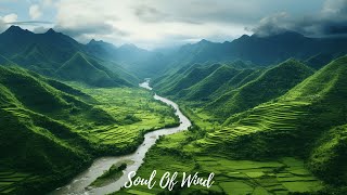 Relax and Unwind With This Beautiful 'Moments of Spring' Piano Instrumental by Soul Of Wind 355 views 11 days ago 3 hours, 3 minutes