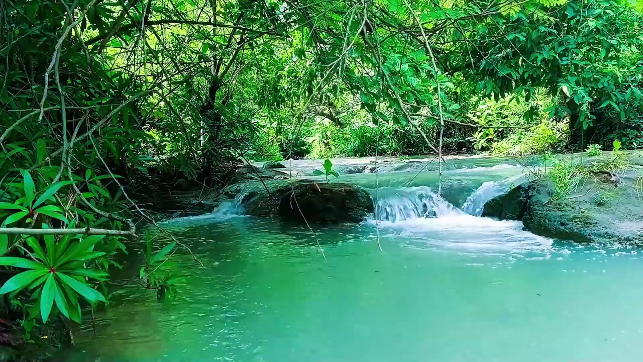ASMR Waterfall Ambience 🌿 Relaxing Nature Sounds for Yoga, Meditation & Deep Sleep