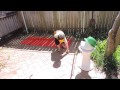Middle of video