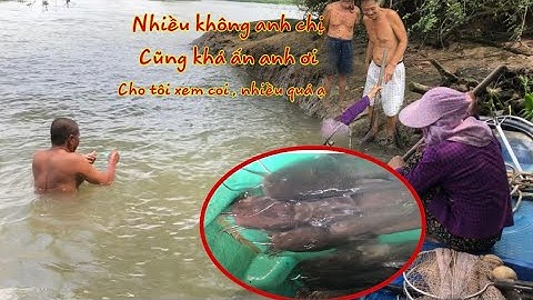 tập 14; Tía sáu vua ngát ,lâu ngày lặn cá ngát lại trúng mánh ,Quê tôi Đồng Tháp