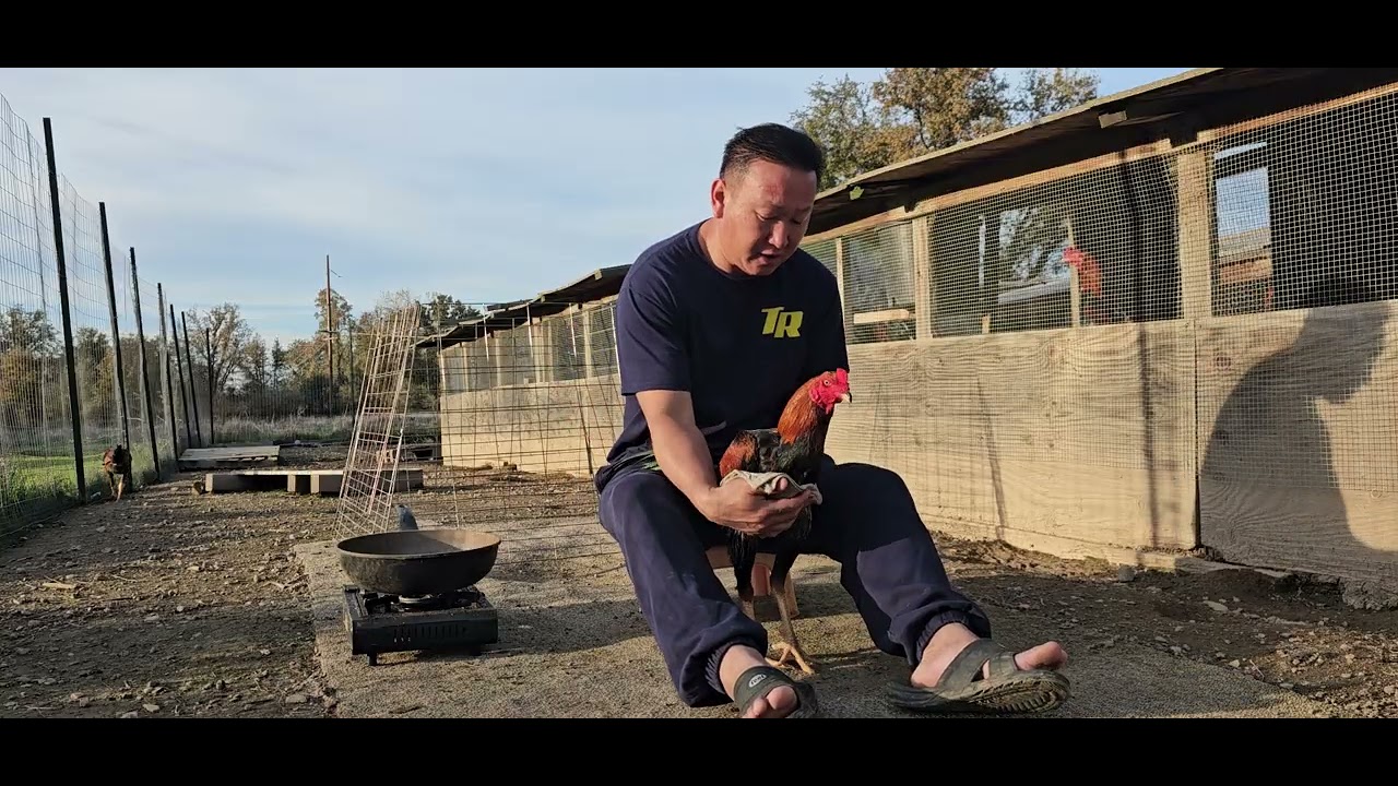 Qaib Redding tham qaib uasi 11/25/25