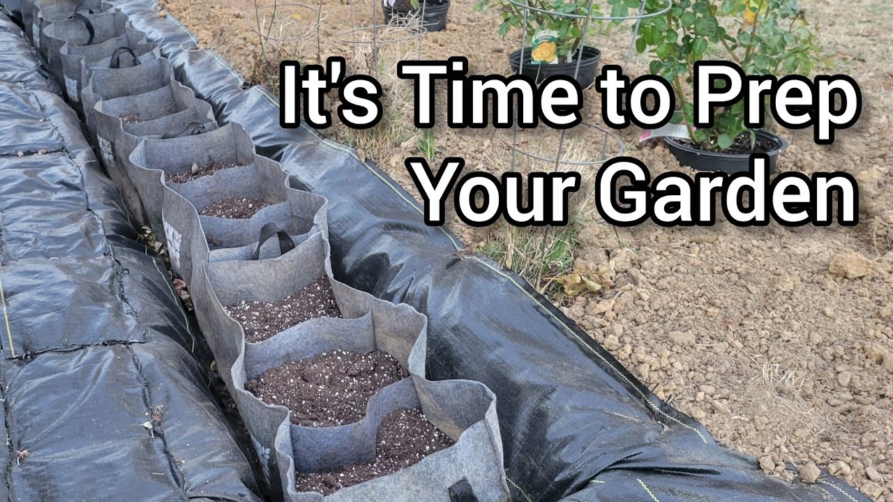 Подготовка сада, рытье траншеи, борьба с сорняками и поддержание влажности в мешках для выращиван...