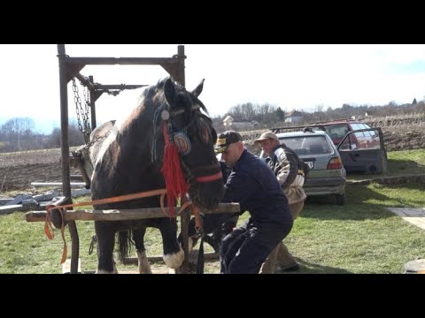 Video: Kako Da Se Ne Kuje