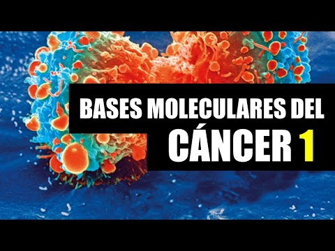 Vídeo: Depleción De Mutaciones Somáticas En Secuencias Asociadas A Empalmes En Genomas De Cáncer