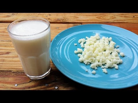 KEFIR latte fermentato