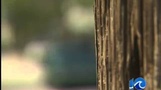 NNPD seeks information on sex assaults