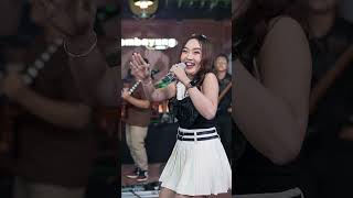 Diva Hani - Ada Gajah Dibalik Batu (Live Dangdut Version)